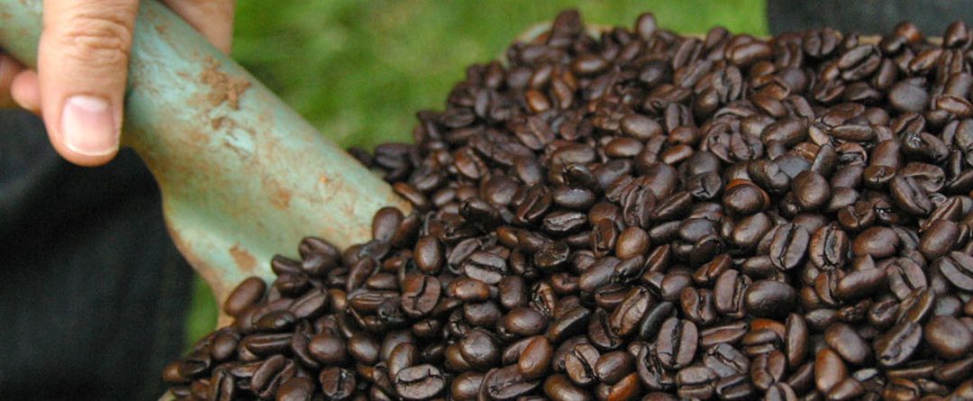 Coffee habits and addiction: Is caffeine the new nicotine?